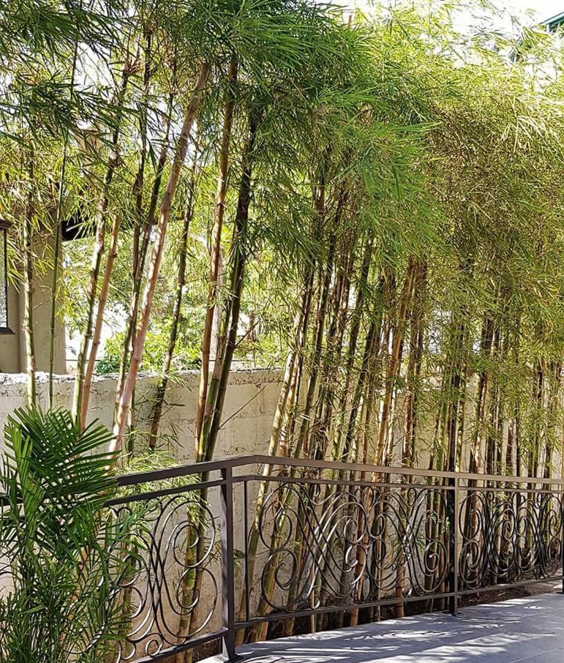 Hotel Clarion Kiribathgoda Exterior foto